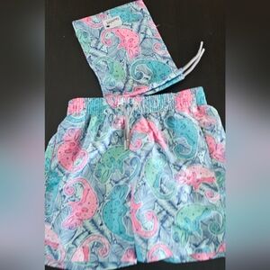 New boardies Chameleon Swim Shorts - Blue, Pink, Green